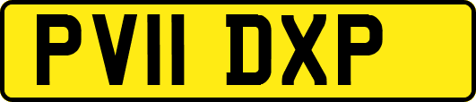 PV11DXP