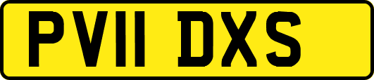 PV11DXS