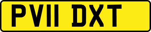 PV11DXT