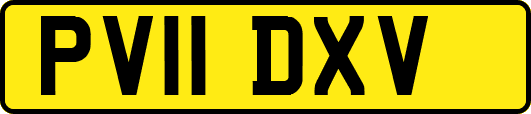 PV11DXV