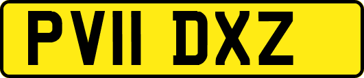 PV11DXZ
