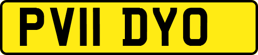 PV11DYO