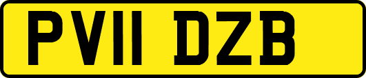 PV11DZB