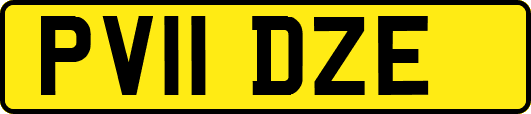 PV11DZE