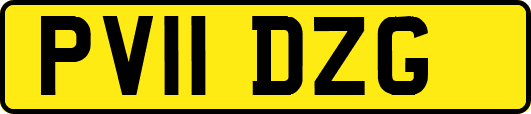 PV11DZG