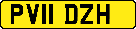 PV11DZH