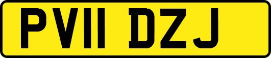 PV11DZJ