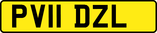 PV11DZL