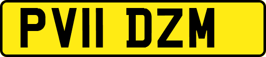 PV11DZM