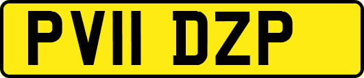 PV11DZP