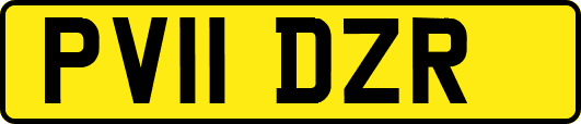 PV11DZR
