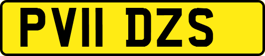 PV11DZS