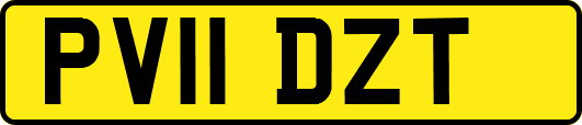 PV11DZT