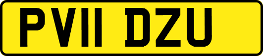PV11DZU