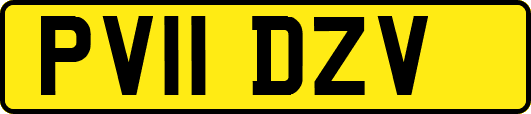 PV11DZV