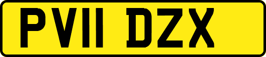 PV11DZX