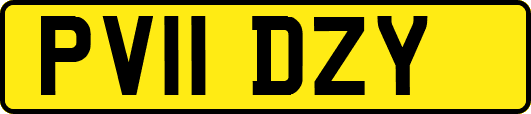PV11DZY