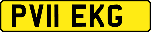 PV11EKG