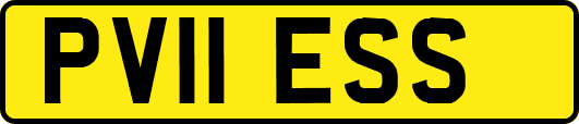 PV11ESS