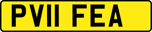 PV11FEA