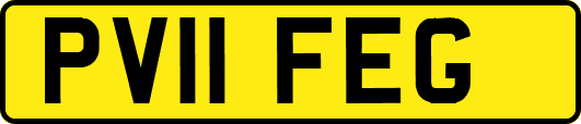 PV11FEG