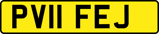 PV11FEJ