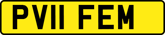 PV11FEM