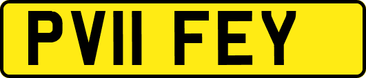 PV11FEY