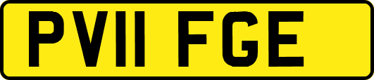 PV11FGE