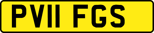 PV11FGS