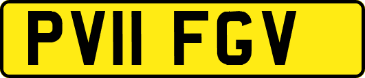 PV11FGV