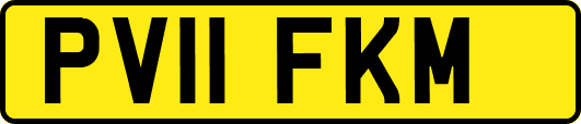 PV11FKM
