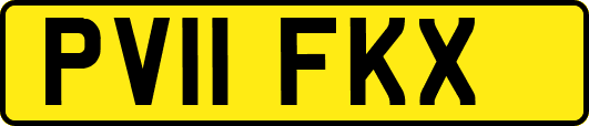 PV11FKX