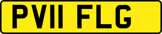 PV11FLG