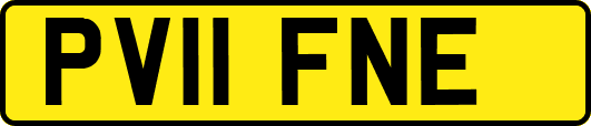 PV11FNE