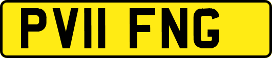 PV11FNG