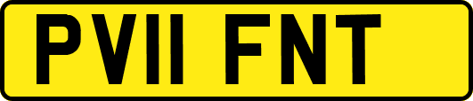 PV11FNT