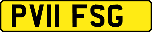 PV11FSG