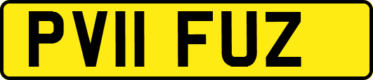 PV11FUZ