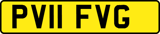PV11FVG