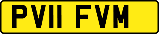 PV11FVM
