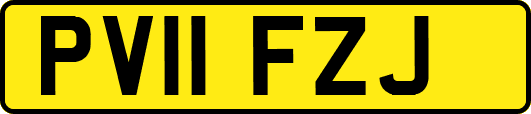 PV11FZJ