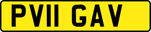 PV11GAV
