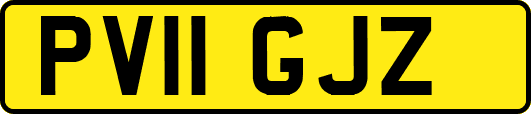 PV11GJZ