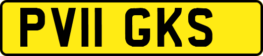 PV11GKS