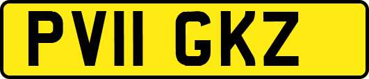 PV11GKZ