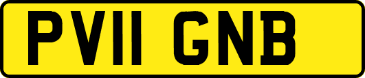 PV11GNB