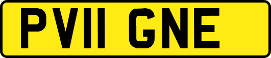 PV11GNE