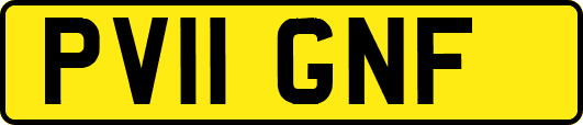 PV11GNF