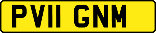 PV11GNM